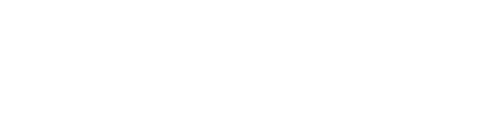 vidigo-logo